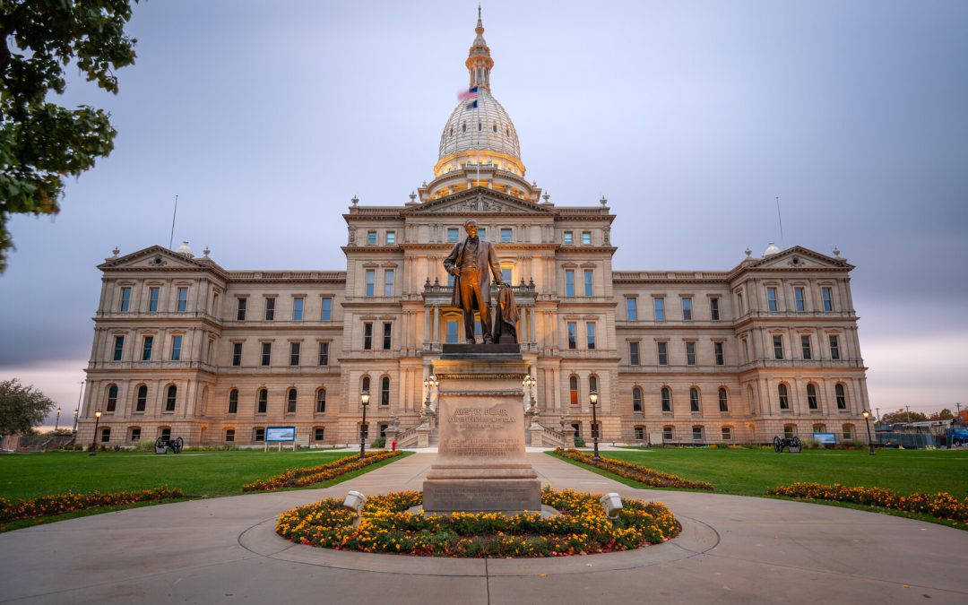 Tell The Democrats in Lansing: NO LAME DUCK GUN CONTROL!