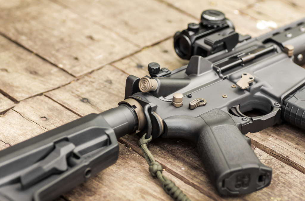 Tell Your Lansing Politicians NO Gun Control in 2025!